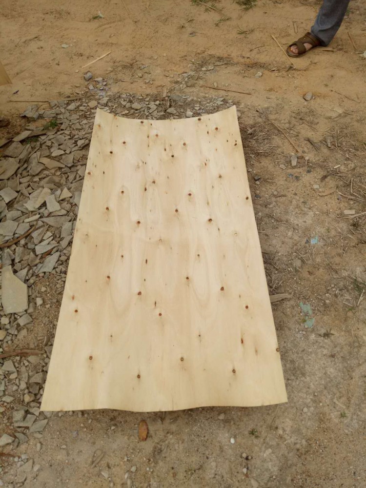钦州桉木单板厂家直销批发