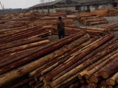 徐州宋楼镇以工业园为载体打造木业产业集群镇