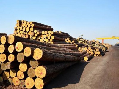 破局，中国木材市场迎来向上行情