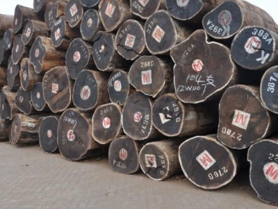 对认证木材的需求增长将成为非洲木材一个重大挑战