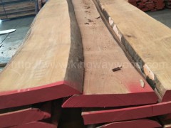 德国木业最新供应欧洲进口榉木毛边板A级优质地板材家具用板