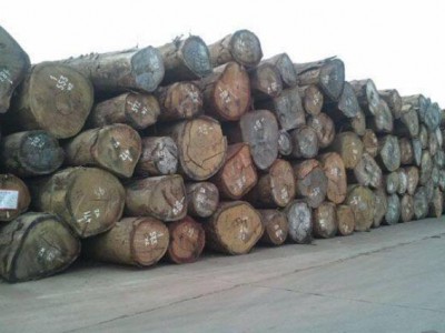 2017年末，国内木材市场行情大调查！
