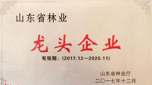 山东省15家企业被认定为国家林业重点龙头企业