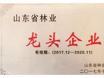 山东省15家企业被认定为国家林业重点龙头企业