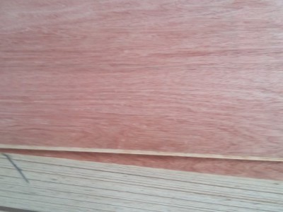 家具板，饰面板，杨木多层板贴橡木皮