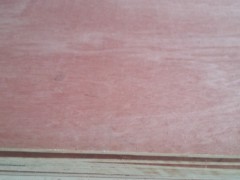 家具板，饰面板，杨木多层板贴橡木皮图2