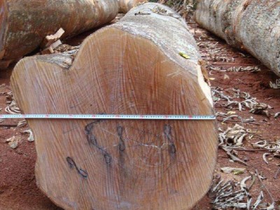 越南木材出口需要注意什么？