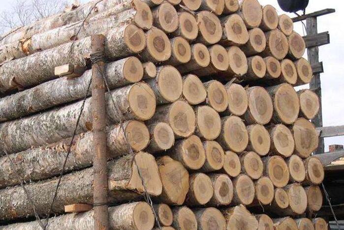中俄携手共同搭建木材交易平台和专业木材物流平台