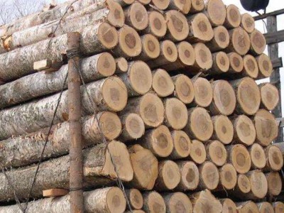 中俄携手共同搭建木材交易平台和专业木材物流平台