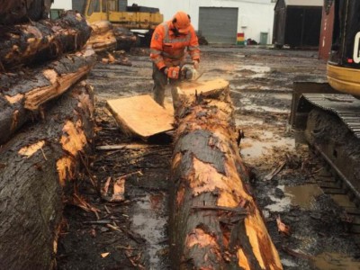 欧洲市场木材供应紧张，价格上涨