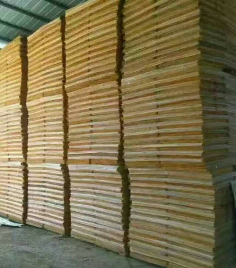 桉木板皮图片