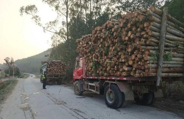 贵阳市2017年木材流通领域行政执法成效显著