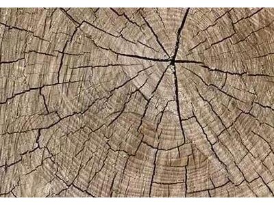 老榆木实木家具开裂怎么办？为什么会开裂？如何维修处理？