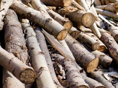 四川甘孜木材市场整治显成效19处非法木材交易点被查封
