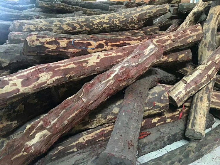 长期现货供应赞比亚血檀原木