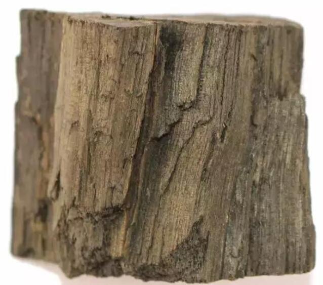 珍贵木材—阴沉木