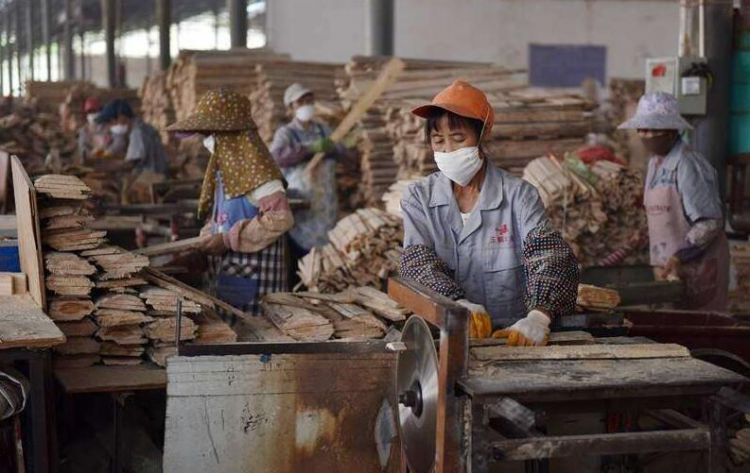 广西西林县赴福建考察取经木材加工等产业