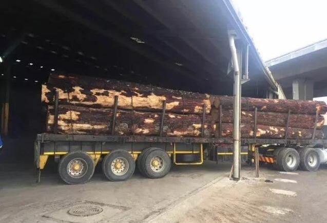 从主营的产品，看进口木材贸易在2017年的整体行情（简单说说）: