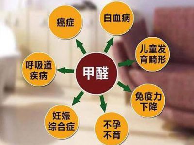 人造板甲醛释放限量团体标准复审会在北京召开