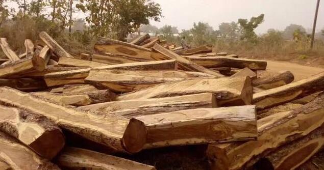 因为当时国内的一些鉴定机构根据部分产地的非花原木气味不佳和《非洲热带木材》
