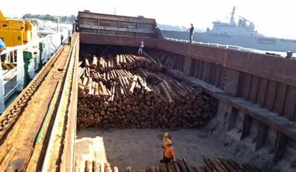 中国需求助推日本木材出口猛涨