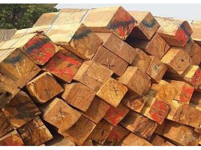 老挝阿速坡省严格执行15号木材管理禁令