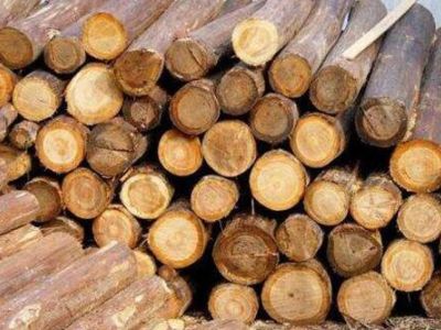 各国对木材出口严格管制 国内市场迎来木材紧缺问题