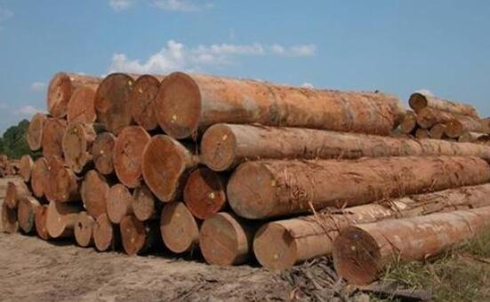 马来西亚木材行业面临挑战