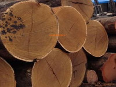 非洲原木市场交易基本处于停滞阶段