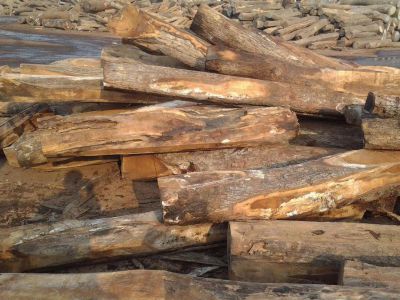 加纳木材种类大全（1）