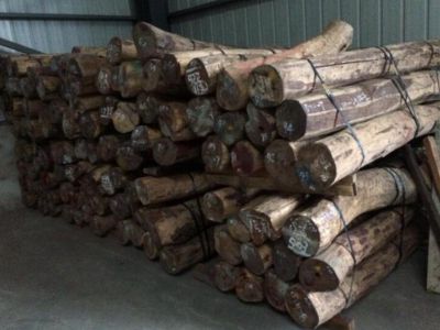加纳木材种类大全（3）
