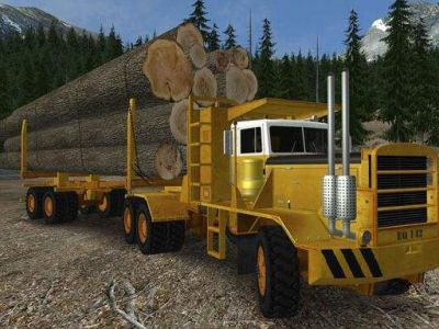 因卡车司机短缺 加拿大林业损失千万美元