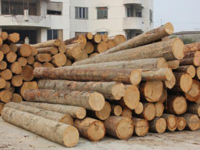 年关之际，各港口木材交易处于低位