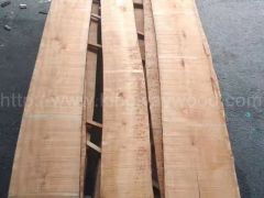 木业最新进口欧洲实木板 榉木板 地板材 木条 木线图3