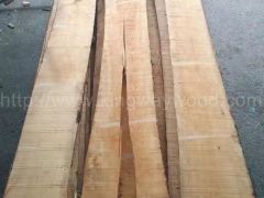 木业最新进口欧洲实木板 榉木板 地板材 木条 木线图2