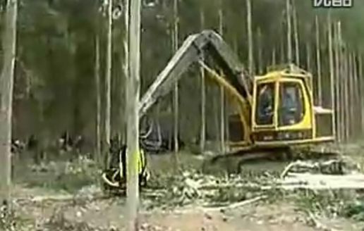 俄罗斯 砍树-----叹为观止
