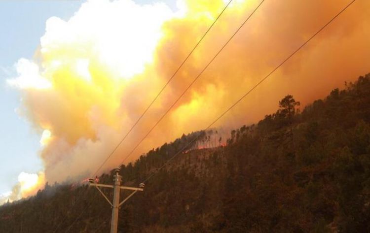 四川雅江森林火灾原因初步查明嫌疑人被控制 扑救人员和飞机仍在增援中