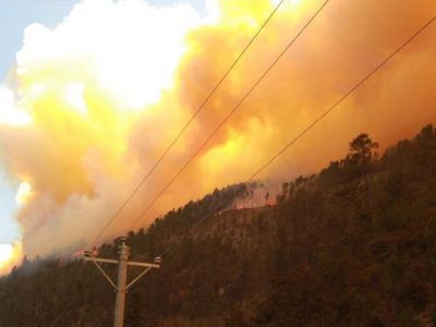 四川雅江森林火灾原因初步查明嫌疑人被控制 扑救人员和飞机仍在增援中