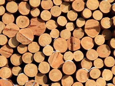 五种给木材脱脂的方法及材料