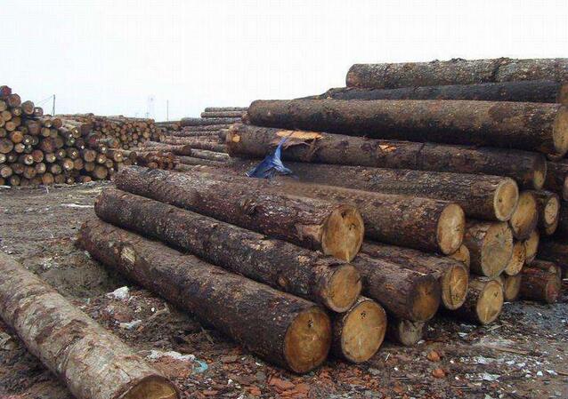进口关税减免，2018年越南木材出口业发展形势乐观