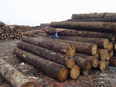 进口关税减免，2018年越南木材出口业发展形势乐观