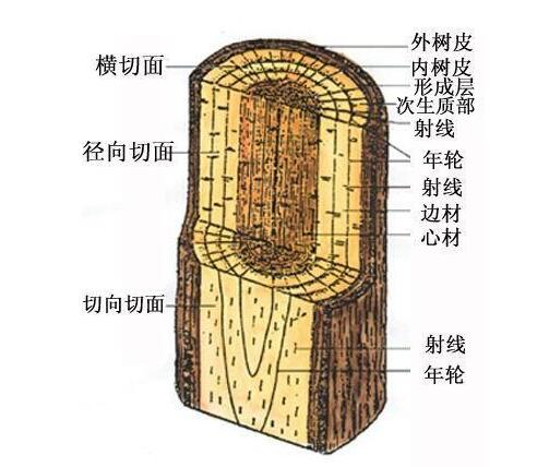 木材强度图片