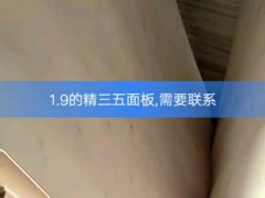 杨木木皮_天盛杨木三拼旋切厂图2