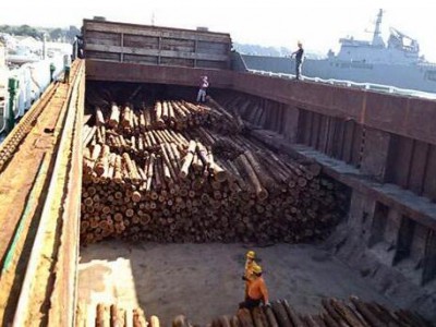 中国将对日本木材、日式施工放宽标准