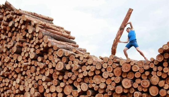 中国是木材消耗大国