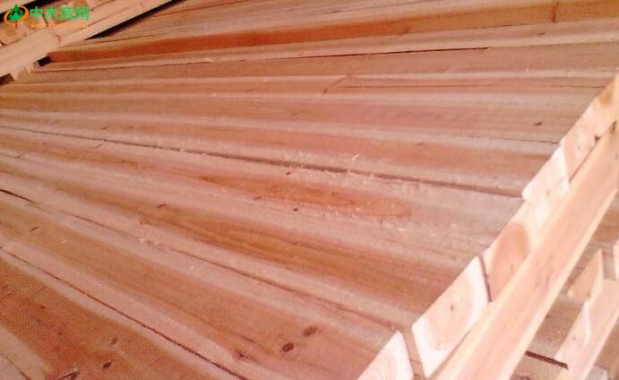 各大木材板材厂家开启接单模式！