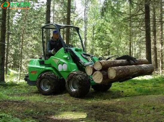 2017年爱沙尼亚木材出口量下降15％