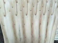 杨木木皮_天盛杨木三拼旋切厂经纪图2