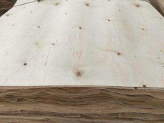 简介：