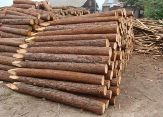 贵阳市积极贮备防汛木材120余立方米